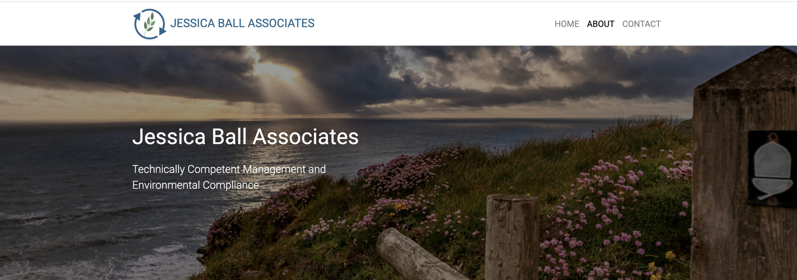 Technically Competent Management website from Jessica Ball Associates 